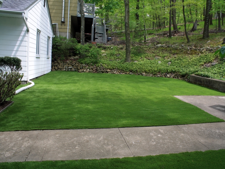 Artificial Turf Cost Fern Acres, Hawaii Home And Garden, Front Yard Design