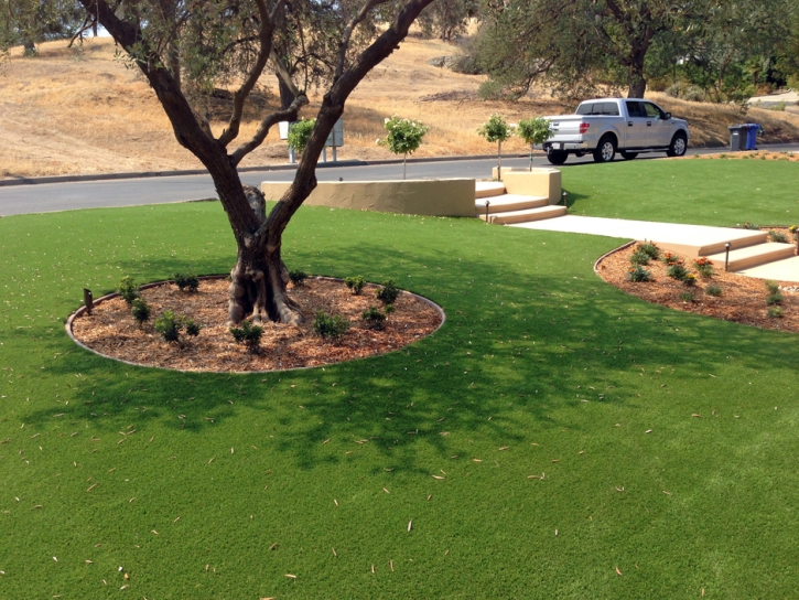 Artificial Turf Cost Lahaina, Hawaii Roof Top, Front Yard