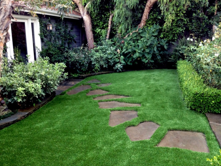 Artificial Turf Cost Paukaa, Hawaii Design Ideas, Small Backyard Ideas