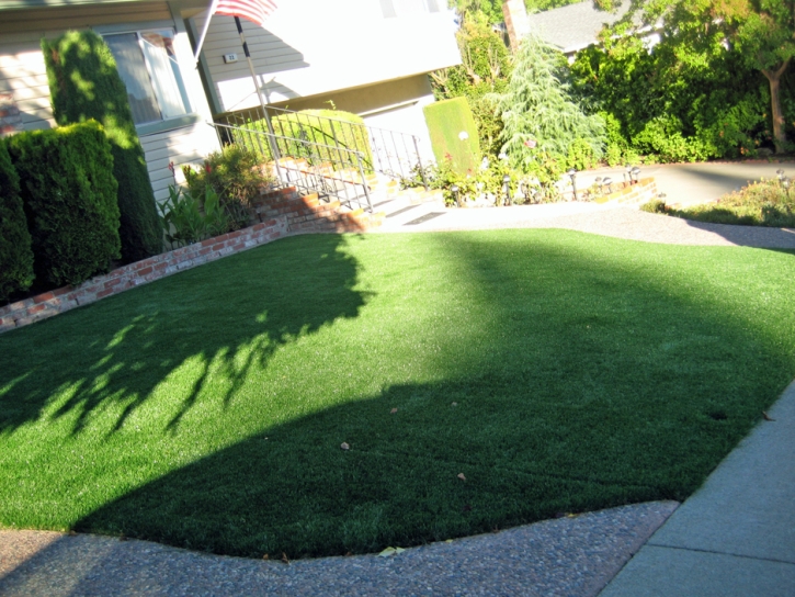 Artificial Turf Cost Waikoloa Village, Hawaii Gardeners, Front Yard