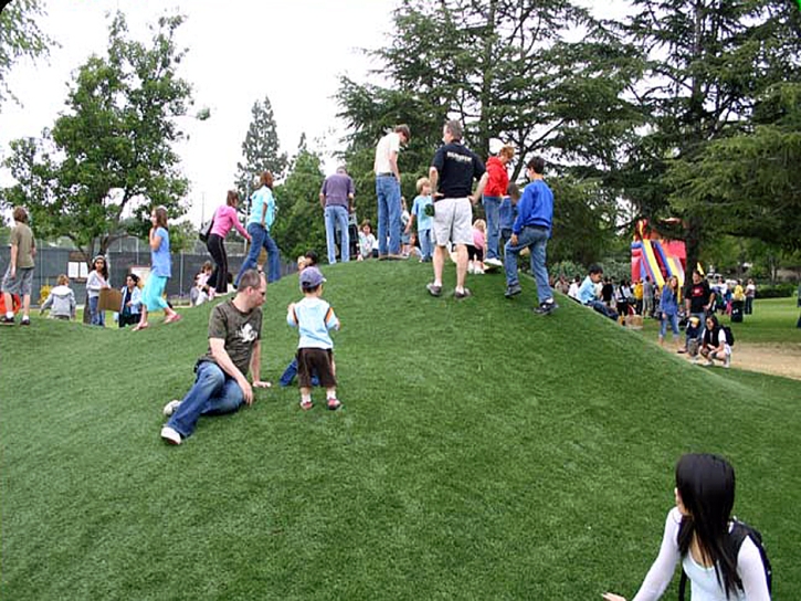 Artificial Turf Hanapepe, Hawaii Rooftop, Parks