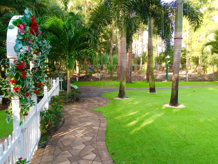 Artificial Turf Honaunau-Napoopoo, Hawaii Landscaping Business, Parks