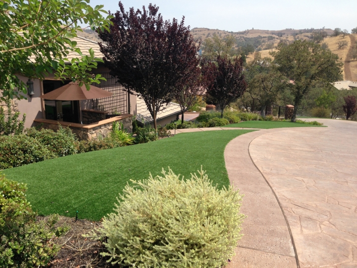 Artificial Turf Installation Aiea, Hawaii Home And Garden, Front Yard