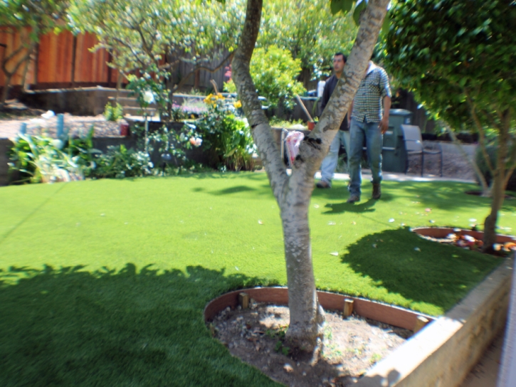 Artificial Turf Installation Kalaoa, Hawaii Design Ideas, Small Backyard Ideas