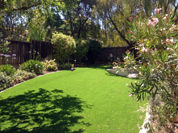 Artificial Turf Installation Kapaau, Hawaii Landscaping, Backyard Garden Ideas