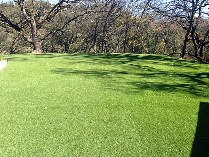 Artificial Turf Installation Pakala Village, Hawaii Roof Top, Recreational Areas