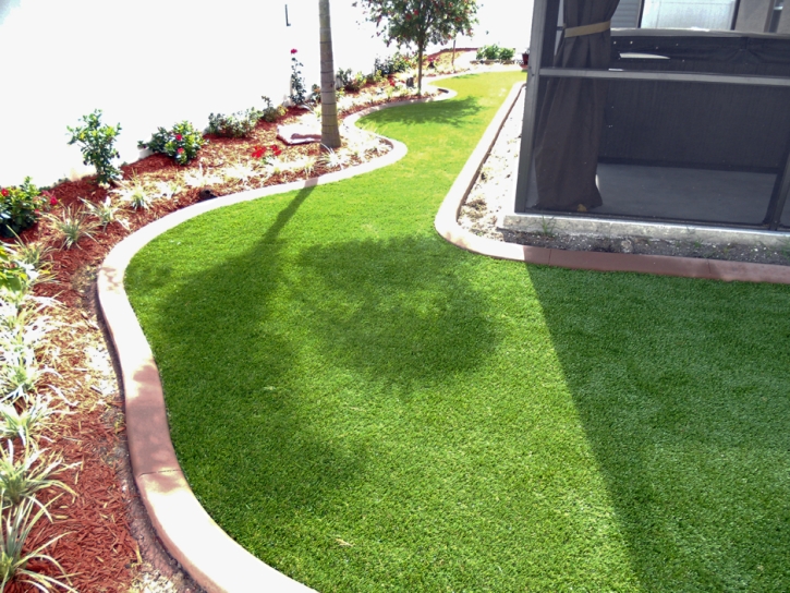 Artificial Turf Kapaau, Hawaii Landscape Photos, Backyard Designs