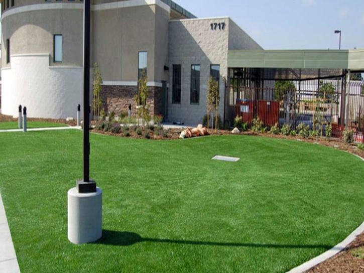 Artificial Turf Koloa, Hawaii Landscape Photos, Commercial Landscape