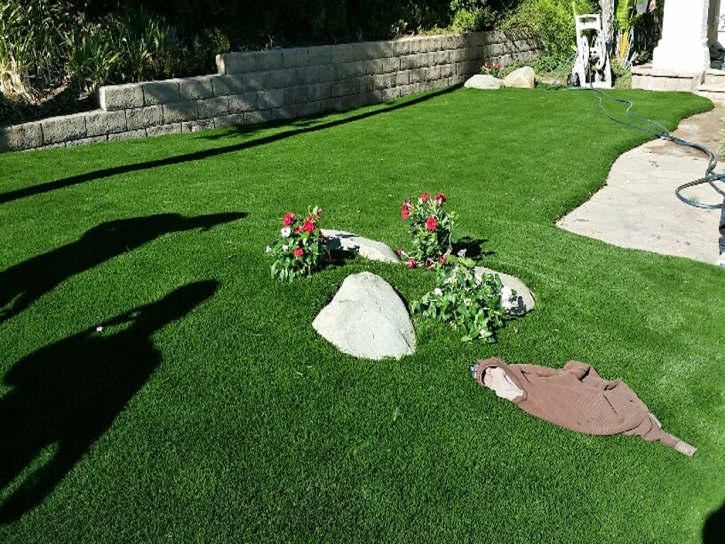 Artificial Turf Mokuleia, Hawaii Home And Garden, Front Yard