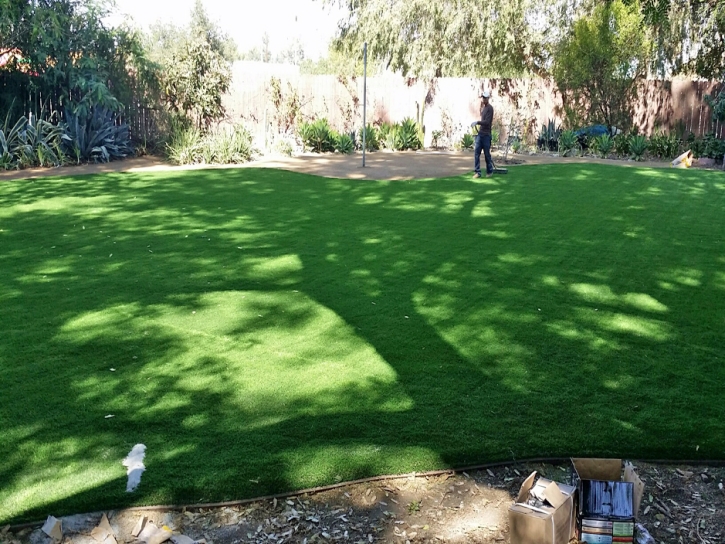 Artificial Turf Nanawale Estates, Hawaii Roof Top, Backyard Makeover