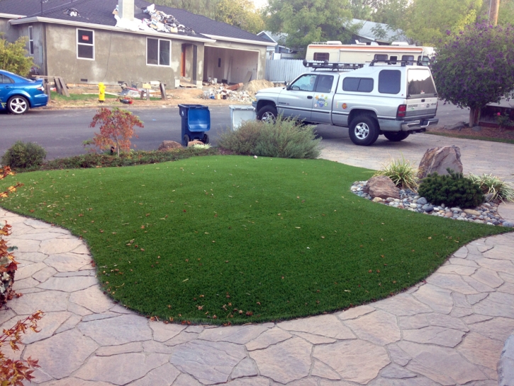 Artificial Turf Orchidlands Estates, Hawaii Landscape Ideas, Front Yard Design