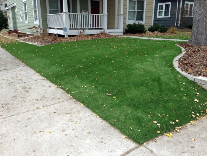 Artificial Turf Waihee-Waiehu, Hawaii Lawns, Front Yard