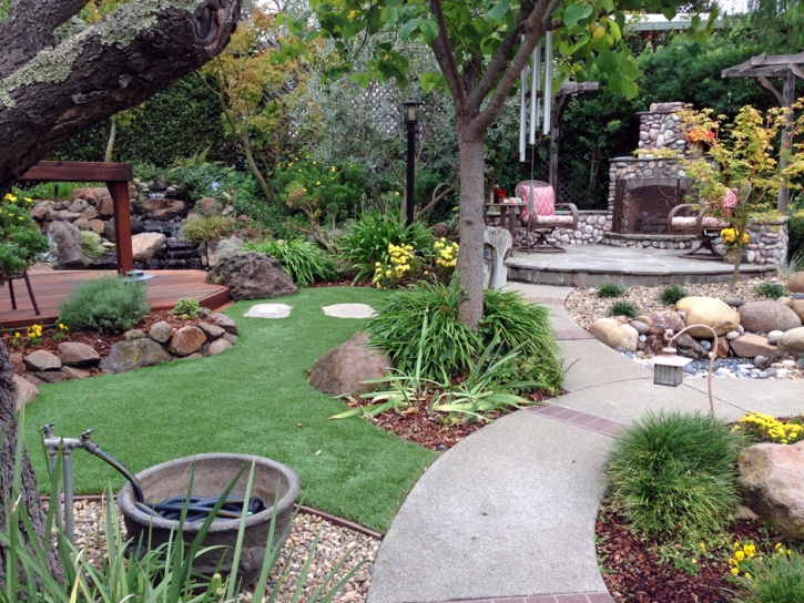 Best Artificial Grass Laupahoehoe, Hawaii Design Ideas, Beautiful Backyards