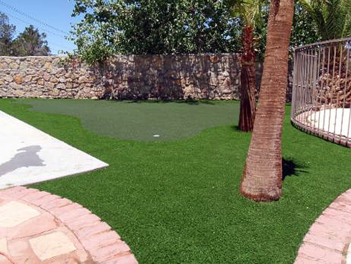 Best Artificial Grass Paia, Hawaii Rooftop, Backyard Landscaping Ideas