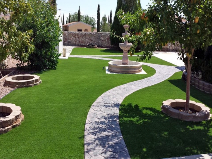 Best Artificial Grass Waipahu, Hawaii Garden Ideas, Backyard Landscape Ideas