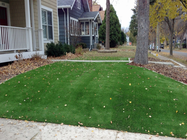 Fake Grass Carpet Haleiwa, Hawaii Lawns, Front Yard