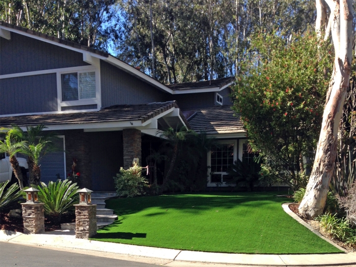 Fake Grass Carpet Honalo, Hawaii Backyard Deck Ideas, Small Front Yard Landscaping