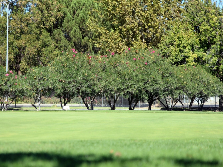 Fake Grass Carpet Kurtistown, Hawaii Putting Green Turf