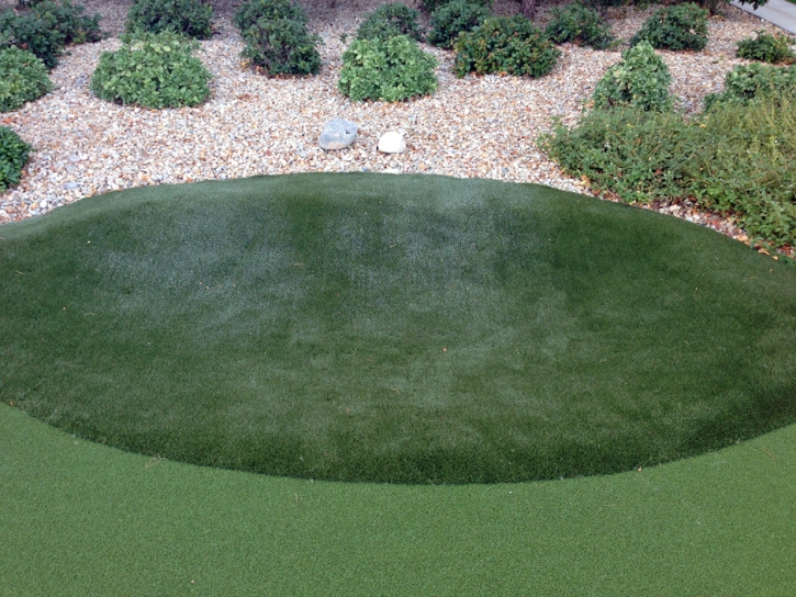 Fake Grass Carpet Lihue, Hawaii Putting Green Carpet