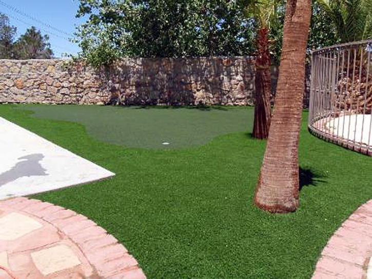 Fake Grass Carpet Maili, Hawaii Office Putting Green, Backyards