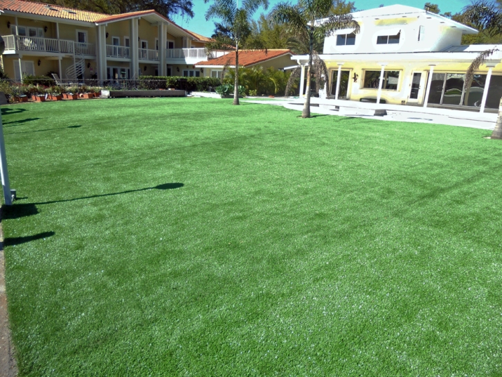 Fake Grass Carpet Mokuleia, Hawaii Lawn And Garden, Pool Designs