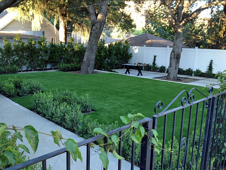 Fake Grass Carpet Waialua, Hawaii Landscaping, Front Yard Landscape Ideas