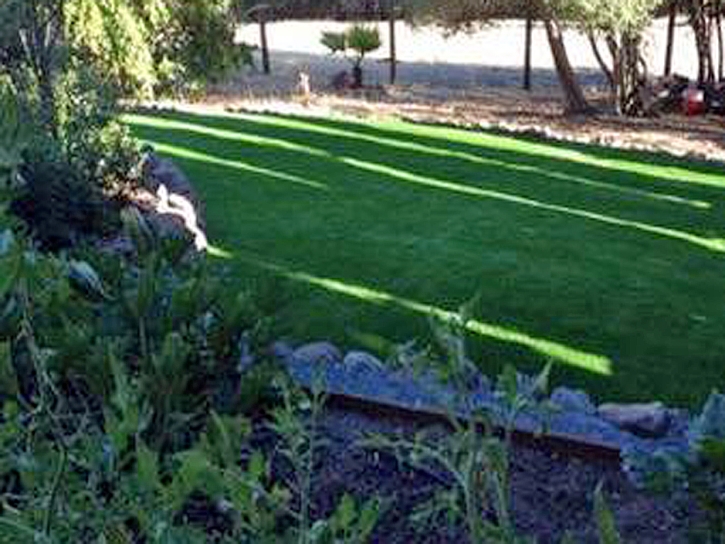 Fake Grass Carpet Waimanalo, Hawaii Home And Garden, Small Backyard Ideas