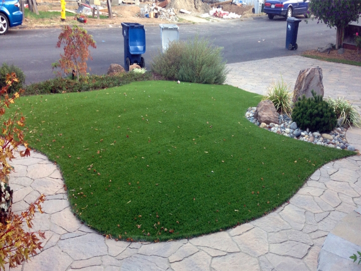 Fake Grass Carpet Waiohinu, Hawaii Paver Patio