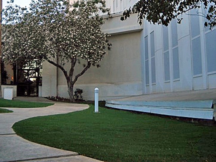 Fake Grass Carpet Waipio, Hawaii City Landscape, Front Yard