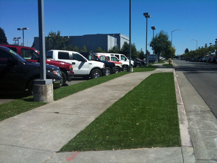 Fake Grass Hanamaulu, Hawaii Landscaping, Commercial Landscape