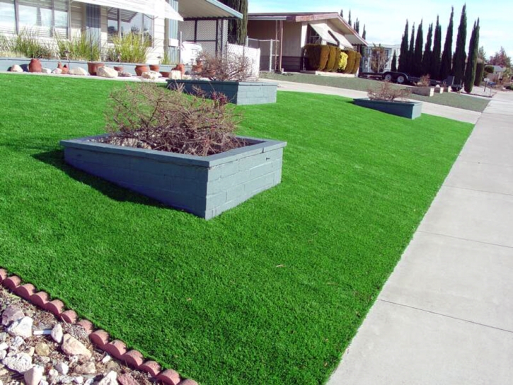 Fake Grass Hawi, Hawaii Rooftop, Front Yard Design