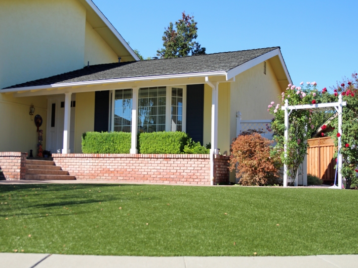 Fake Grass Kahului, Hawaii Backyard Deck Ideas, Front Yard