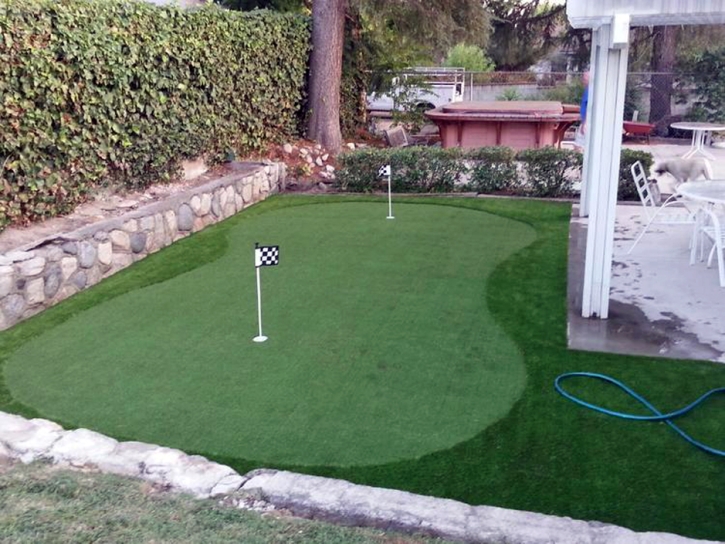 Fake Grass Schofield Barracks, Hawaii Office Putting Green, Small Backyard Ideas