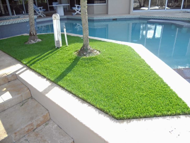 Fake Grass Waikoloa, Hawaii Design Ideas, Backyard Garden Ideas