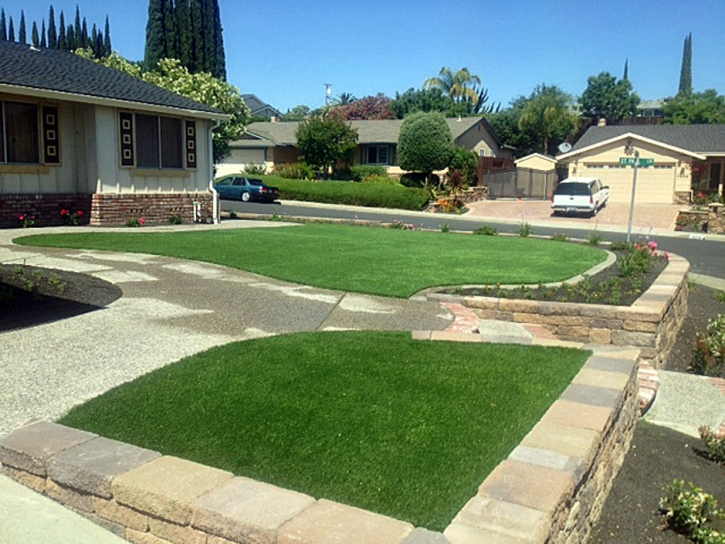 Fake Lawn Nanawale Estates, Hawaii Design Ideas