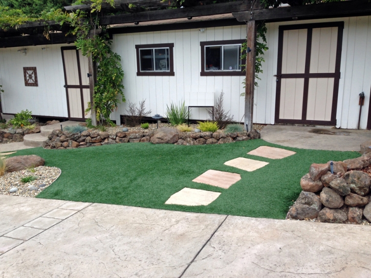 Fake Turf Halawa Heights, Hawaii Garden Ideas, Front Yard