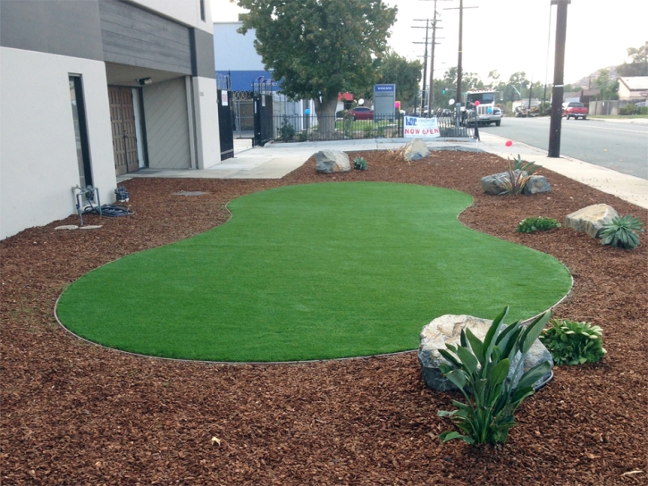 Fake Turf Olowalu, Hawaii Garden Ideas, Commercial Landscape