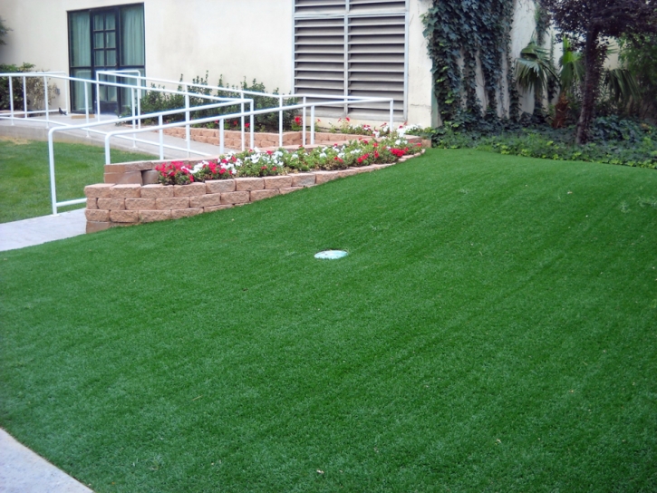 Fake Turf Schofield Barracks, Hawaii How To Build A Putting Green, Front Yard Landscaping