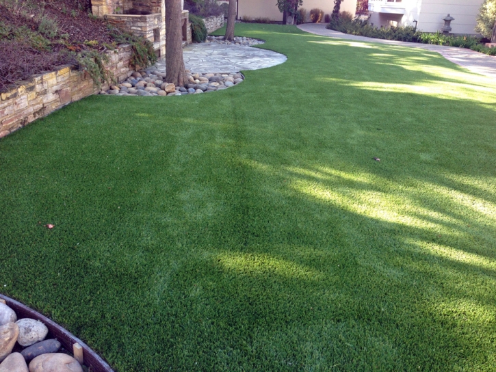 Fake Turf Waikapu, Hawaii Cat Playground, Backyard Landscaping Ideas