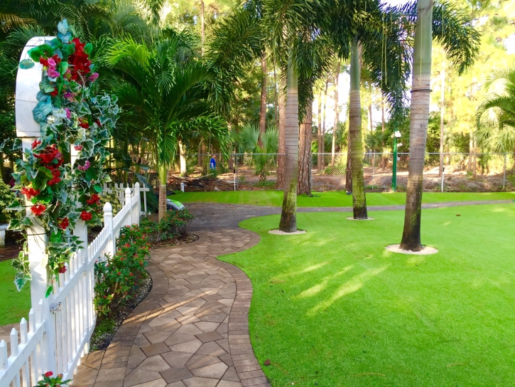 Fake Turf Waikoloa, Hawaii Landscaping, Backyard Ideas