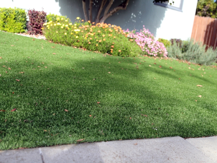 Fake Turf Waipio, Hawaii Landscape Design, Small Front Yard Landscaping