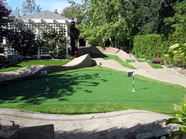 Faux Grass Papaikou, Hawaii Roof Top, Backyard Landscape Ideas