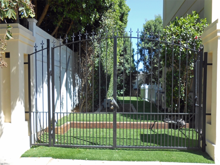 Grass Carpet Hawaiian Paradise Park, Hawaii Lawn And Landscape, Front Yard Ideas