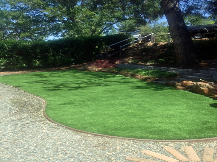 Grass Carpet Kaaawa, Hawaii Paver Patio, Backyard