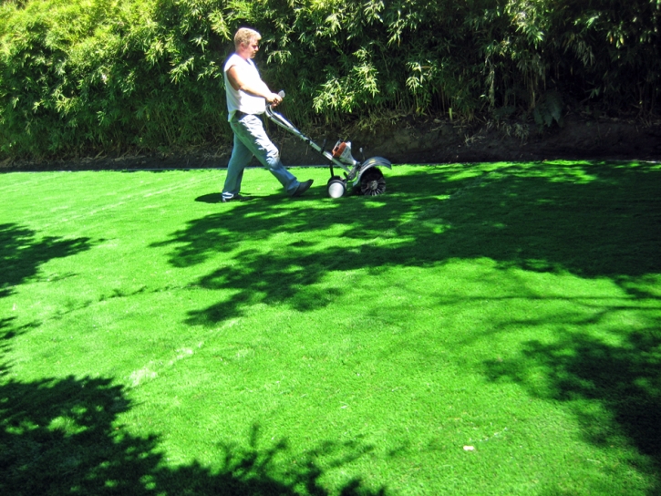 Grass Carpet Laie, Hawaii Landscaping, Backyard Ideas