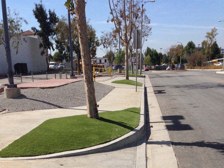 Grass Carpet Launiupoko, Hawaii Landscape Ideas, Commercial Landscape