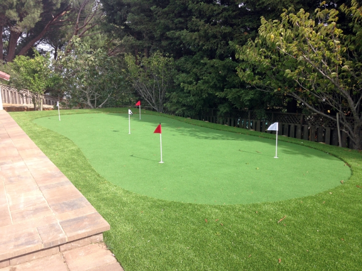 Grass Carpet Paukaa, Hawaii Putting Green Grass, Backyard Landscaping Ideas