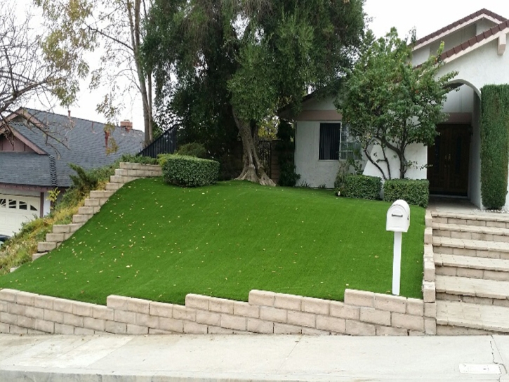 Grass Carpet Waimea, Hawaii Lawn And Garden, Front Yard Landscaping