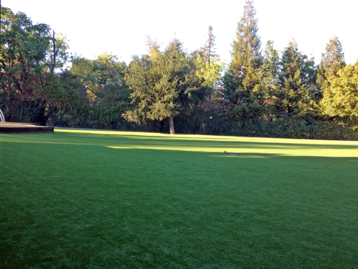 Grass Installation Waimalu, Hawaii Landscape Ideas, Parks