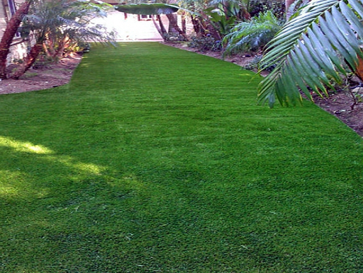 Grass Turf Hauula, Hawaii Lawns, Backyard Ideas